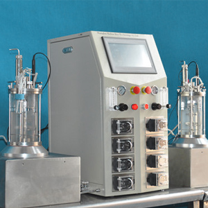 2l Off-site Sterilization Magnetic Stirring Glass Bioreactor